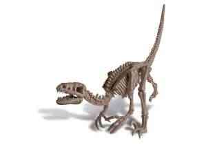 Velociraptor Déterre ton Dinosaure 4M - Jouet Scientifique