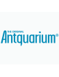 Antquarium